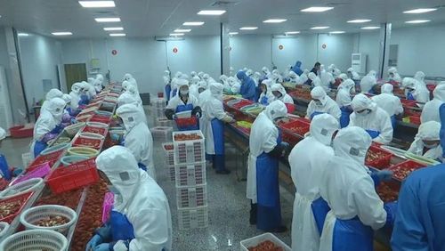 江陵县虾兵蟹将食品是一家从事小龙虾,螃蟹等水产品深加工的