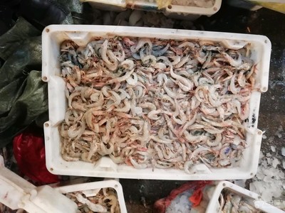 海头苏鲁水产品批发市场
