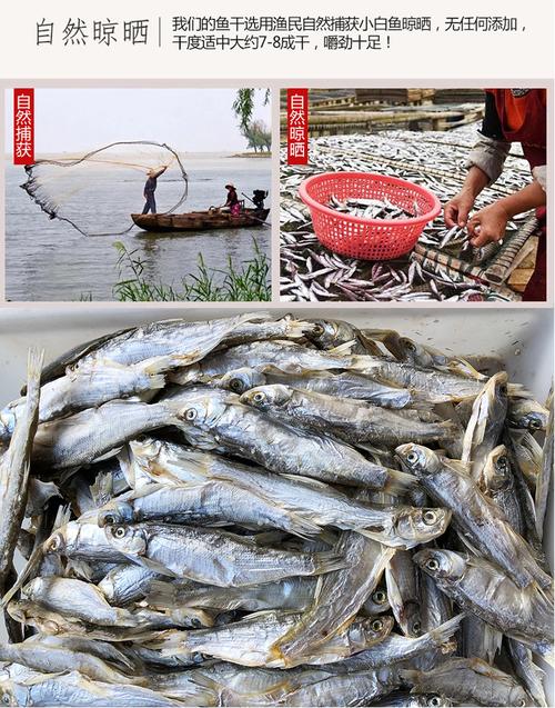 鲜活水产品 鱼类 新鲜小白鱼批发,白条鱼批发多钱一斤,大量收购白条鱼