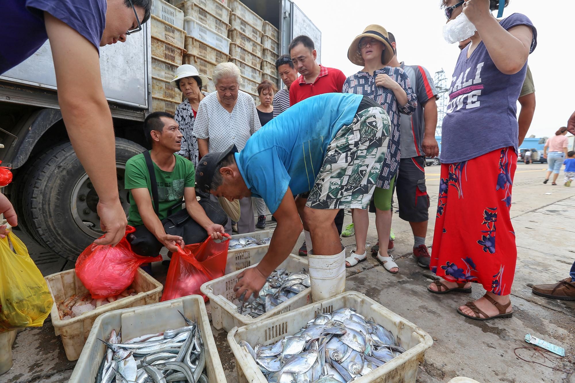 秋鲅鱼2元一斤海捕大虾18元一只 开海了大量海鲜卖出“白菜价”