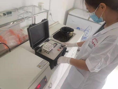 陕西省渭南市 临渭区水产站完成8月产地水产品质量安全监测工作