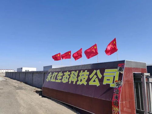 生化黄腐酸领军企业收购矿源腐植酸工厂 有大布局