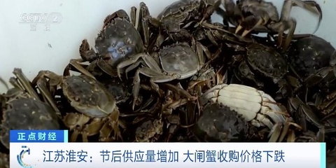 "错峰"吃蟹正当时!节后螃蟹身价落,规格越大降越多