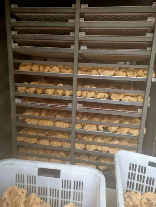 黑市倒卖人体胎盘,鲜的煲汤干的制药,顾客食用后 睡眠好皮肤好