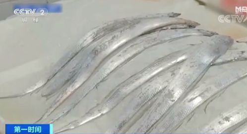 一棵大白菜卖24元 伙食费竟成家庭支出最大占比...这里发生了什么
