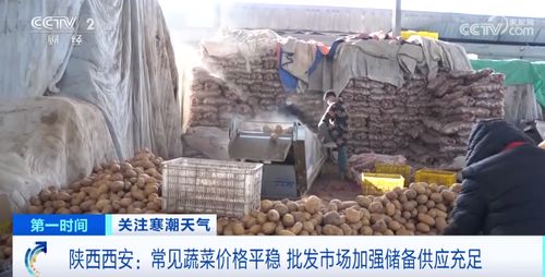 寒潮天气下菜价平稳 各地是如何保障 菜篮子 量丰价稳的