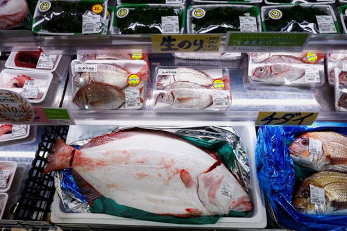10万份扇贝免费送 北海道大手笔 盼缓解中国水产禁令影响