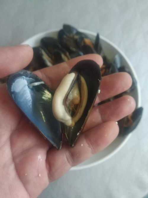 买海虹,掂量沉重 看大小 老水产人 都不对,只需1招就够用