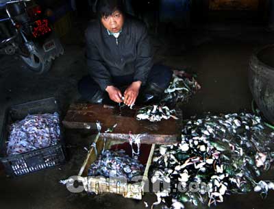 死牛蛙剥皮后变“田鸡”