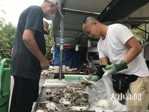 不买螃蟹就亏了 南方螃蟹供应大增 性价比高,倍受老百姓青睐