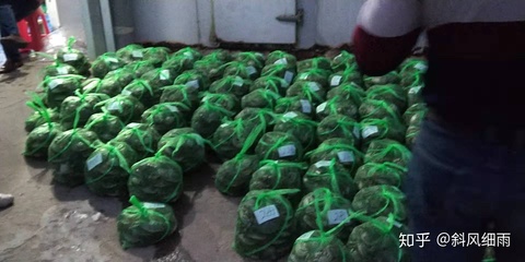 为什么很多螃蟹都用黑白相间的绳子绑?