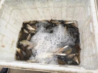 这件事千万不能干!洪湖已有4人被抓