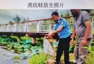 胆大!宜春一名餐馆老板,搞野味吸引顾客被判刑!