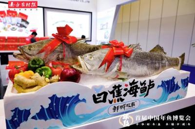 广东新赛道:首届中国年鱼博览会助力强农富农新局面