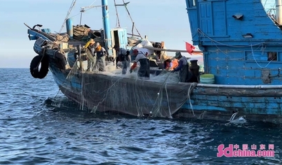 开海啦! 记者出海一线探访郭老三头船本地螃蟹上市