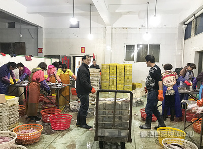 逆境求生:我县水产行业完成自身产业升级