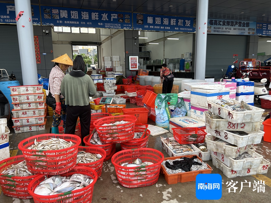 临高:渔船回港渔获多 水产市场交易忙