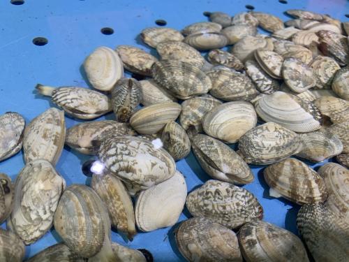 水产饲料 拟收购i v公司51 股权 预制菜 粤海饲料触及涨停