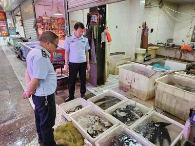 呈贡区多部门联动推进长江“十年禁渔”专项行动 全力织牢生态防线