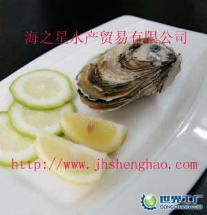 供应龙岩生蚝批发价格_供应龙岩生蚝批发厂家_世界工厂网产品信息库