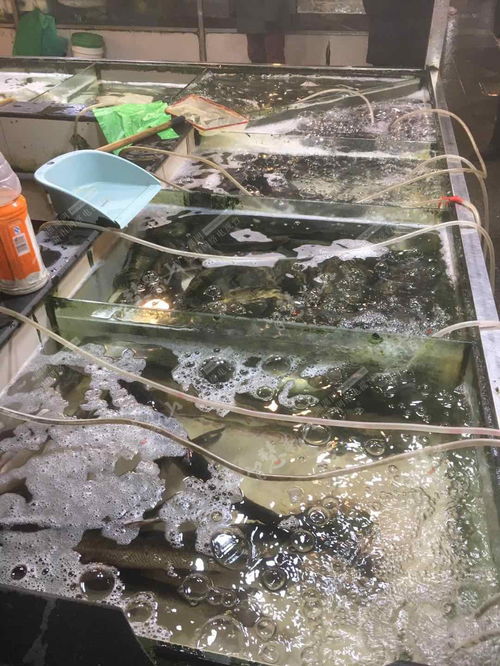 萧山近期水产品价格涨幅较大
