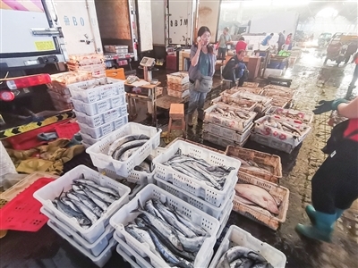记者凌晨探访:南方梭子蟹价格"跳水",批发价每斤降至10多元