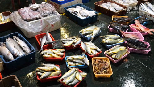 福州 海鲜市场购销两旺 为元宵节增 鲜
