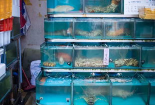 全国最大的水产品批发市场将搬迁 这里曾上演十万 水军 昼夜不息的景象