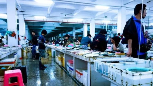 实用又省钱 2019长春批发市场最最最全扫货攻略