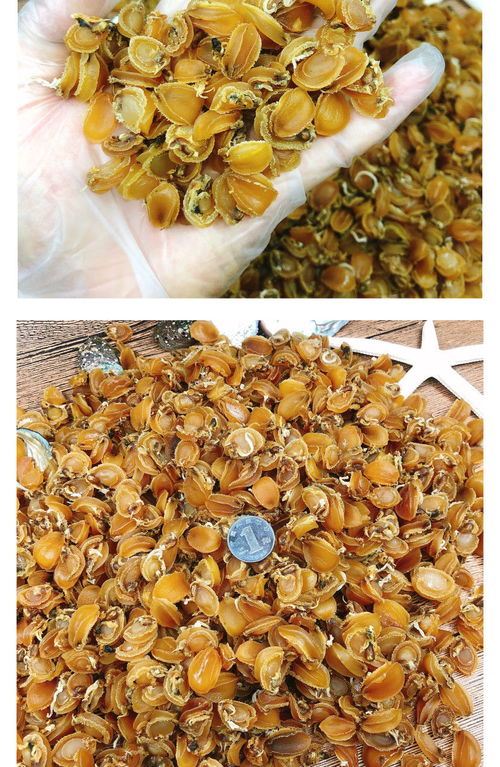 宝宝熬粥新鲜小鲍鱼干野生淡晒小鲍鱼干货批发营养辅食海鲜水产品