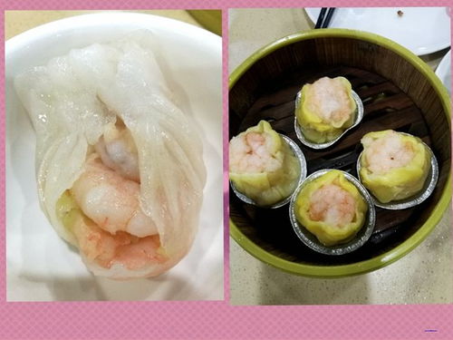 湛江自由行实用攻略 探索海滨风光与水产批发宝地