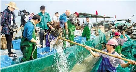 从生计渔业到生态渔业 记者探访江浙多地见证太湖最后的传统捕鱼季与水产品批发变迁
