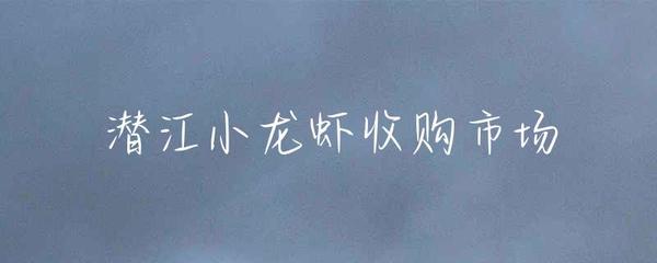 潜江小龙虾收购市场与水产批发现状分析