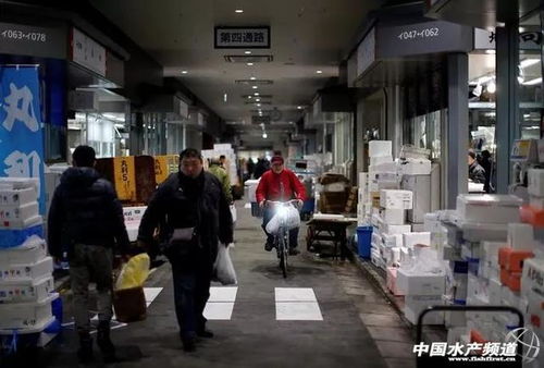 丰洲水产品批发市场东北部地面裂缝越来越大,安全隐患加剧
