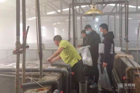 20批次全部合格 滨州市开展冬季工厂化养殖水产品监督抽查